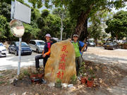 Thumbnail of P4240107.JPG