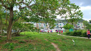 Thumbnail of pic_KL_Sin_078.jpg