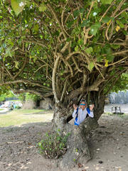 Thumbnail of pic_Paul_Tsang_071.jpg