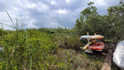 Thumbnail of pic_Sister9_006.jpg