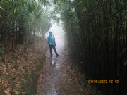 Thumbnail of pic_Derek_Wong_142.JPG