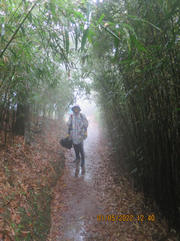 Thumbnail of pic_Derek_Wong_147.JPG