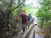 Thumbnail of pic_Derek_Wong_011.JPG
