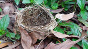 Thumbnail of pic_Anissa_Yip_013.jpg