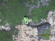 Thumbnail of pic_Derek_Wong_209.JPG