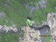 Thumbnail of pic_Derek_Wong_210.JPG