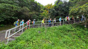 Thumbnail of pic_KL_Sin_012.jpg
