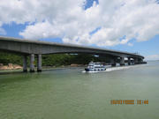Thumbnail of pic_Derek_Wong_238.JPG