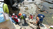 Thumbnail of pic_James_Fong_195.jpg