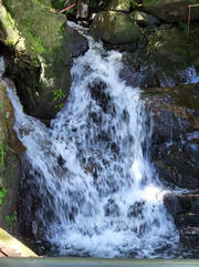 Thumbnail of pic_Brenda_Wong_002.jpg