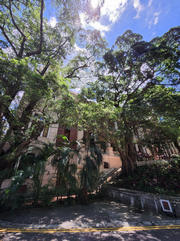 Thumbnail of pic_Brenda_Wong_044.jpg