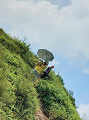 Thumbnail of pic_KK_Lau_054.jpg