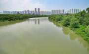 Thumbnail of pic_Sing_Lee_053.jpg