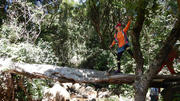 Thumbnail of pic_CW_Ho_014.jpg