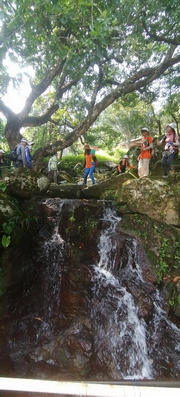 Thumbnail of pic_Derek_Wong_013.jpg