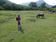 Thumbnail of P9250006.JPG