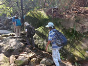 Thumbnail of pic_KK_Lau_013.jpg