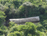 Thumbnail of pic_Derek_Wong_016.jpg