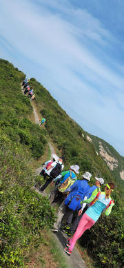 Thumbnail of pic_Philip_Chan_023.jpg