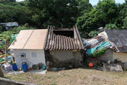 Thumbnail of pic_Tony_Tse_007.jpg
