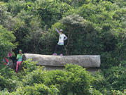 Thumbnail of pic_Tony_Tse_056.jpg