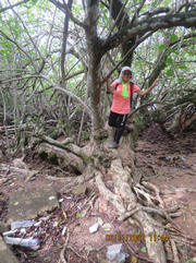 Thumbnail of pic_Derek_Wong_045.JPG