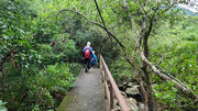 Thumbnail of pic_KL_Sin_035.jpg
