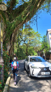 Thumbnail of pic_KL_Sing_075.jpg
