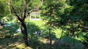 Thumbnail of pic_KL_Sing_107.jpg