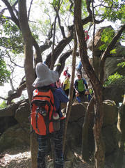Thumbnail of pic_Mingle_Tam_012.jpg