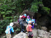 Thumbnail of PC040038.JPG