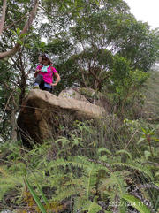 Thumbnail of pic_Kwok_Lam_009.jpg
