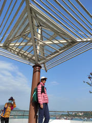 Thumbnail of pic_Mingle_Tam_002.jpg