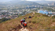 Thumbnail of pic_CW_Ho_078.jpg