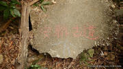 Thumbnail of pic_CW_Ho_102.jpg