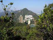 Thumbnail of P1290018.JPG