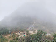 Thumbnail of pic_KM_Law_056.jpg