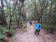 Thumbnail of pic_Derek_Wong_032.JPG