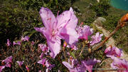 Thumbnail of pic_CW_Ho_074.jpg