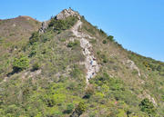 Thumbnail of pic_Lee_Shing_046.jpg