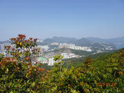 Thumbnail of pic_LK_Cheung_011.jpg