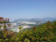 Thumbnail of pic_LK_Cheung_012.jpg