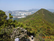 Thumbnail of pic_LK_Cheung_017.jpg