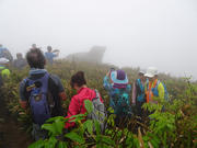 Thumbnail of P3190016.JPG