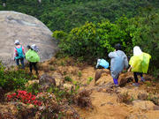 Thumbnail of P3260016.JPG