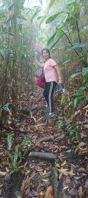 Thumbnail of pic_YS_Wong_002.jpg