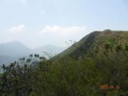 Thumbnail of pic_LK_Cheung_049.jpg