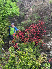 Thumbnail of pic_TB_Tung_013.jpg