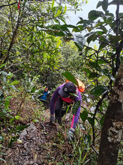 Thumbnail of pic_Zehua_Huang_027.jpg