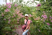 Thumbnail of pic_CW_Ho_080.jpg